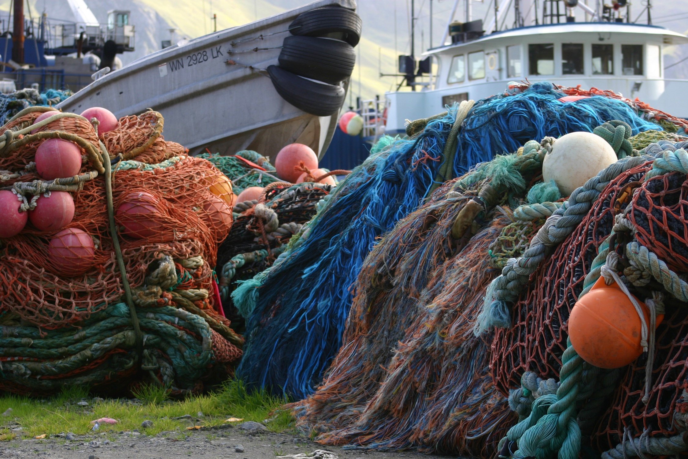 Nets in the Harbor